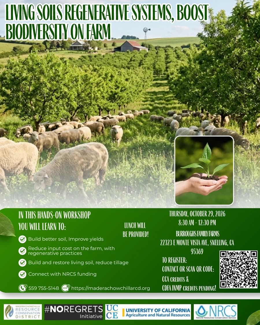 The Living Soils: Regenerative Systems, Pollinator Habitat and Biodiversity on Farm