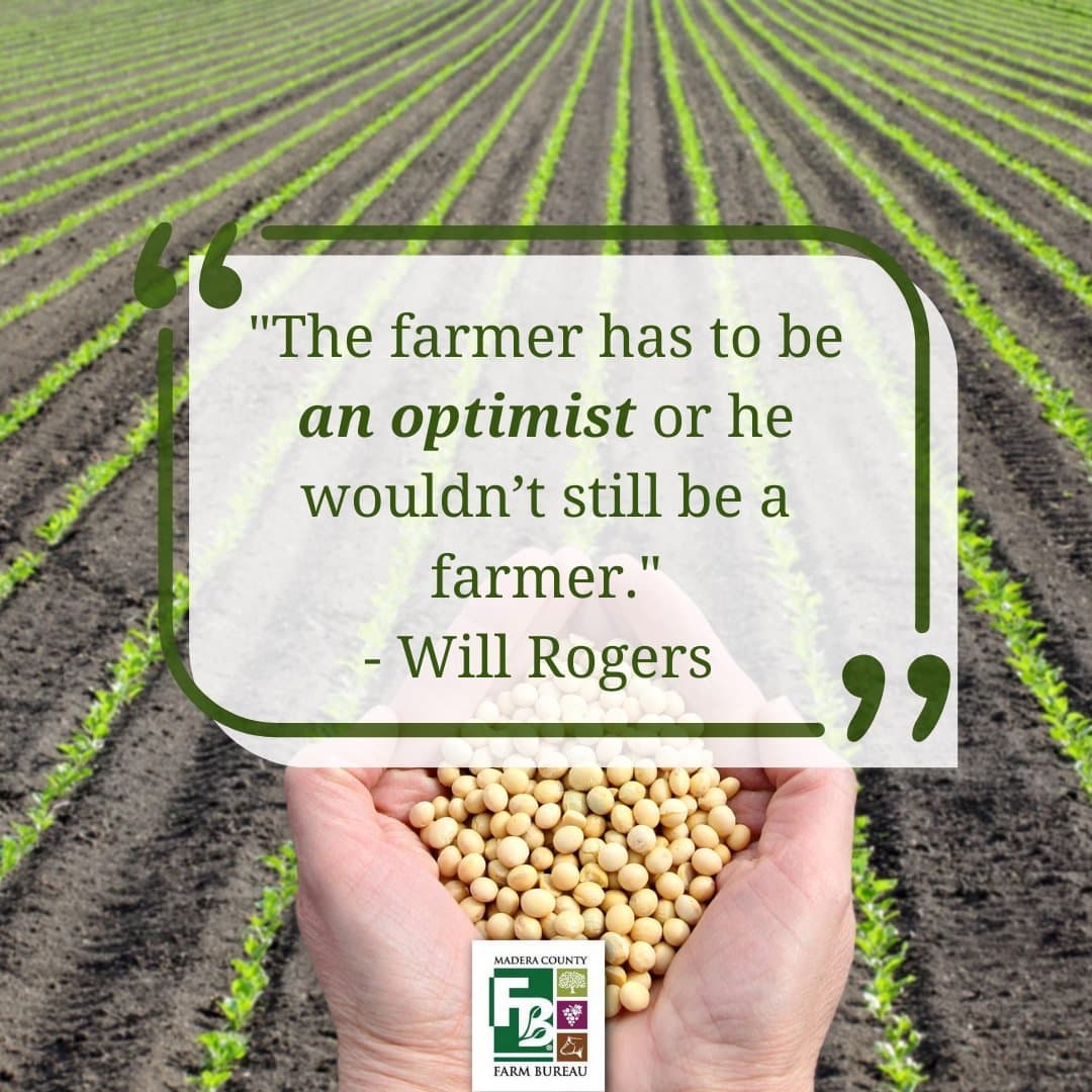 Madera County farmer in the fields