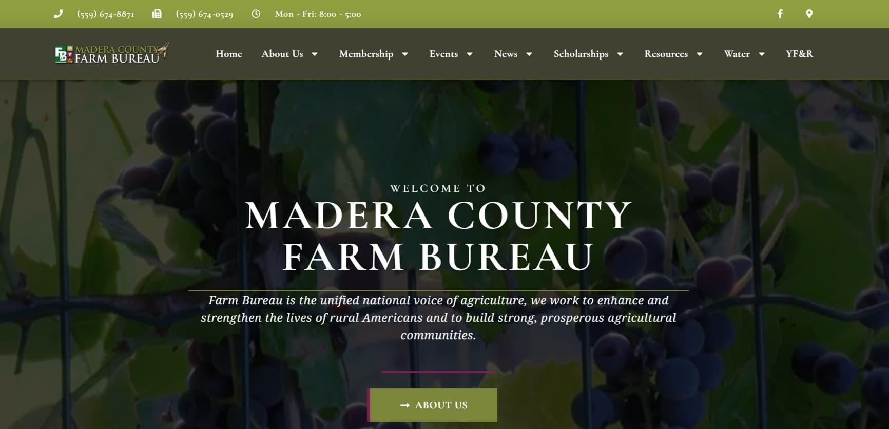 DWR Draft Best Management Practices on Land Subsidence