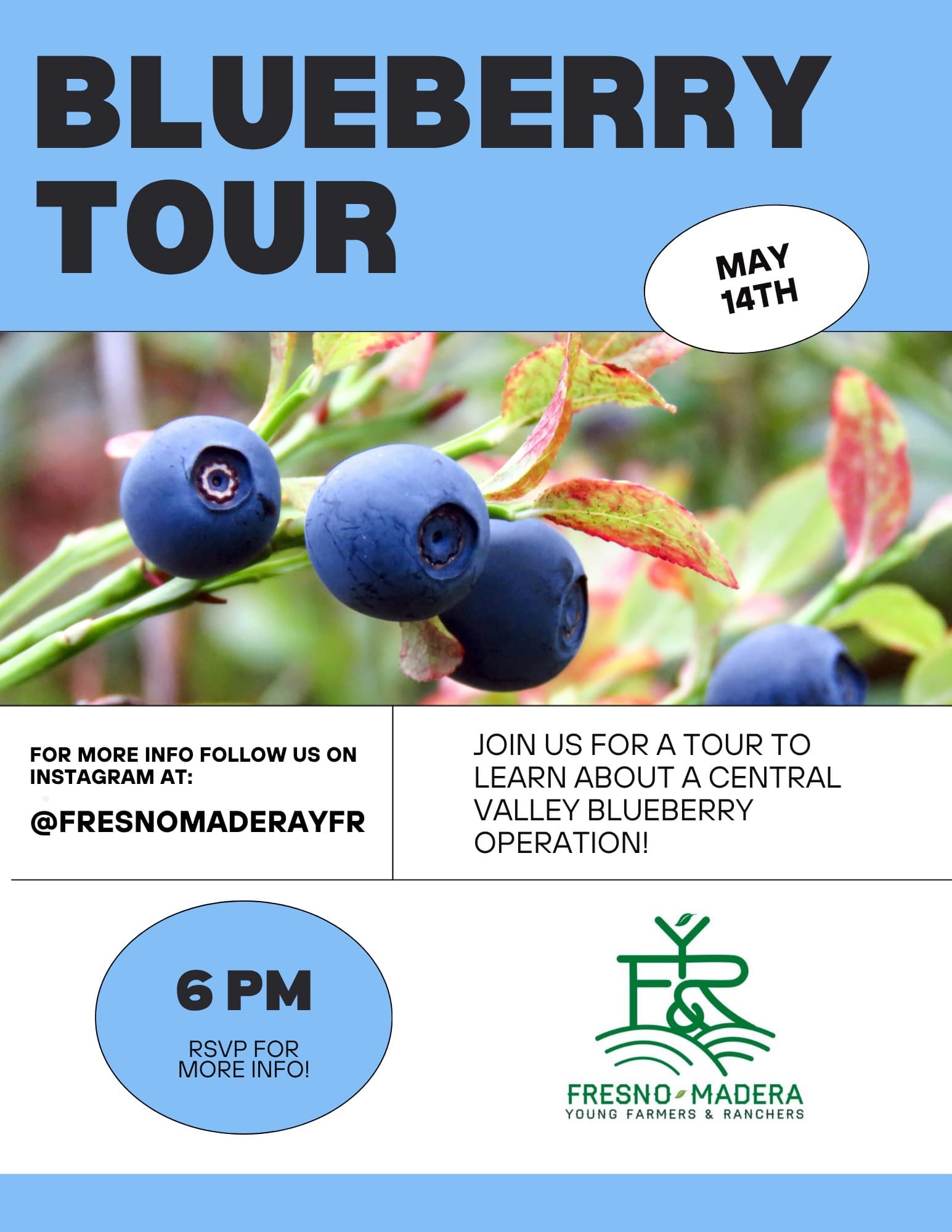 Blueberry Tour in Fresno Co. — YF&R